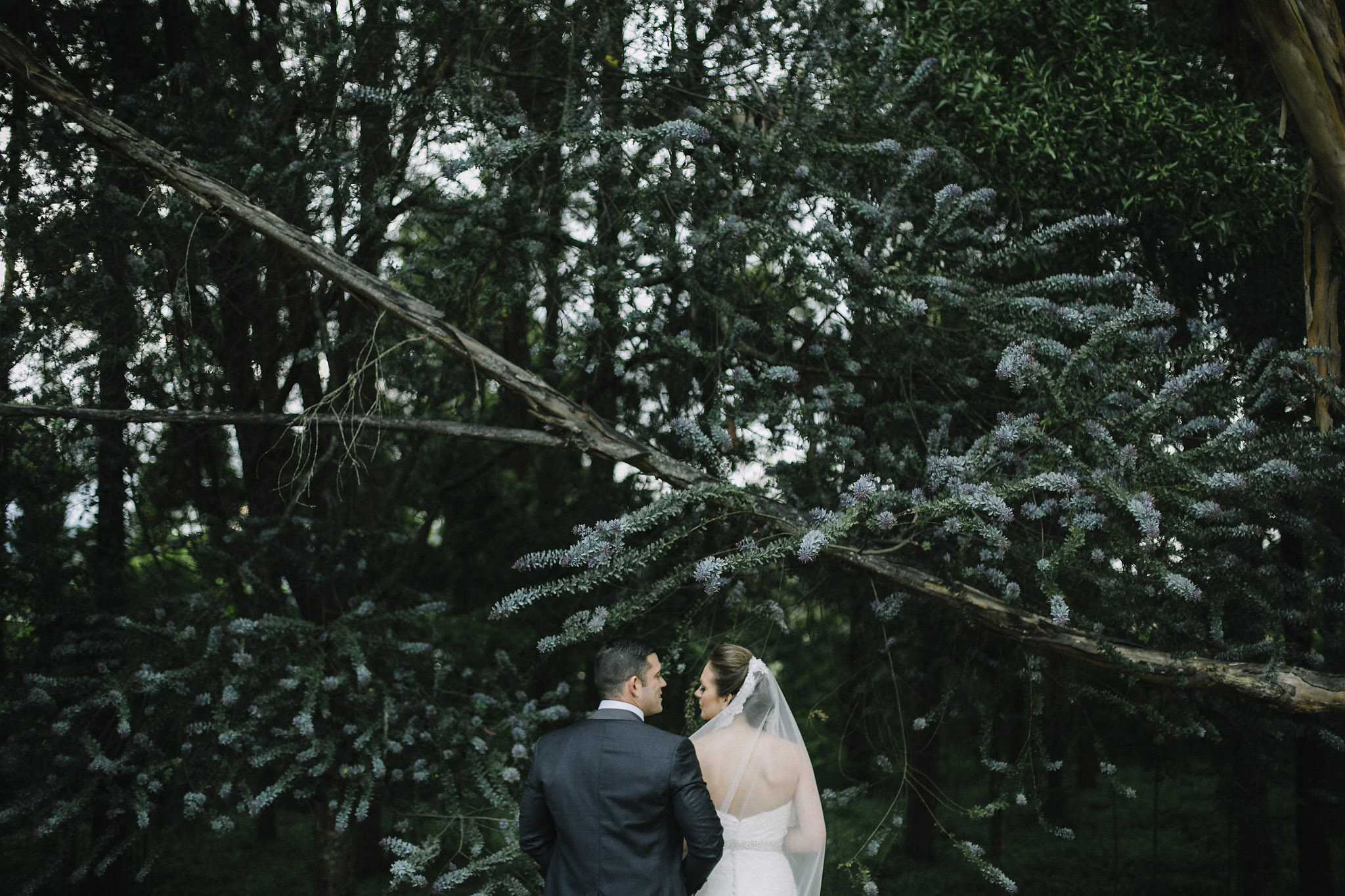 Fotografía de Bodas en Colombia | Diástole y Sístole