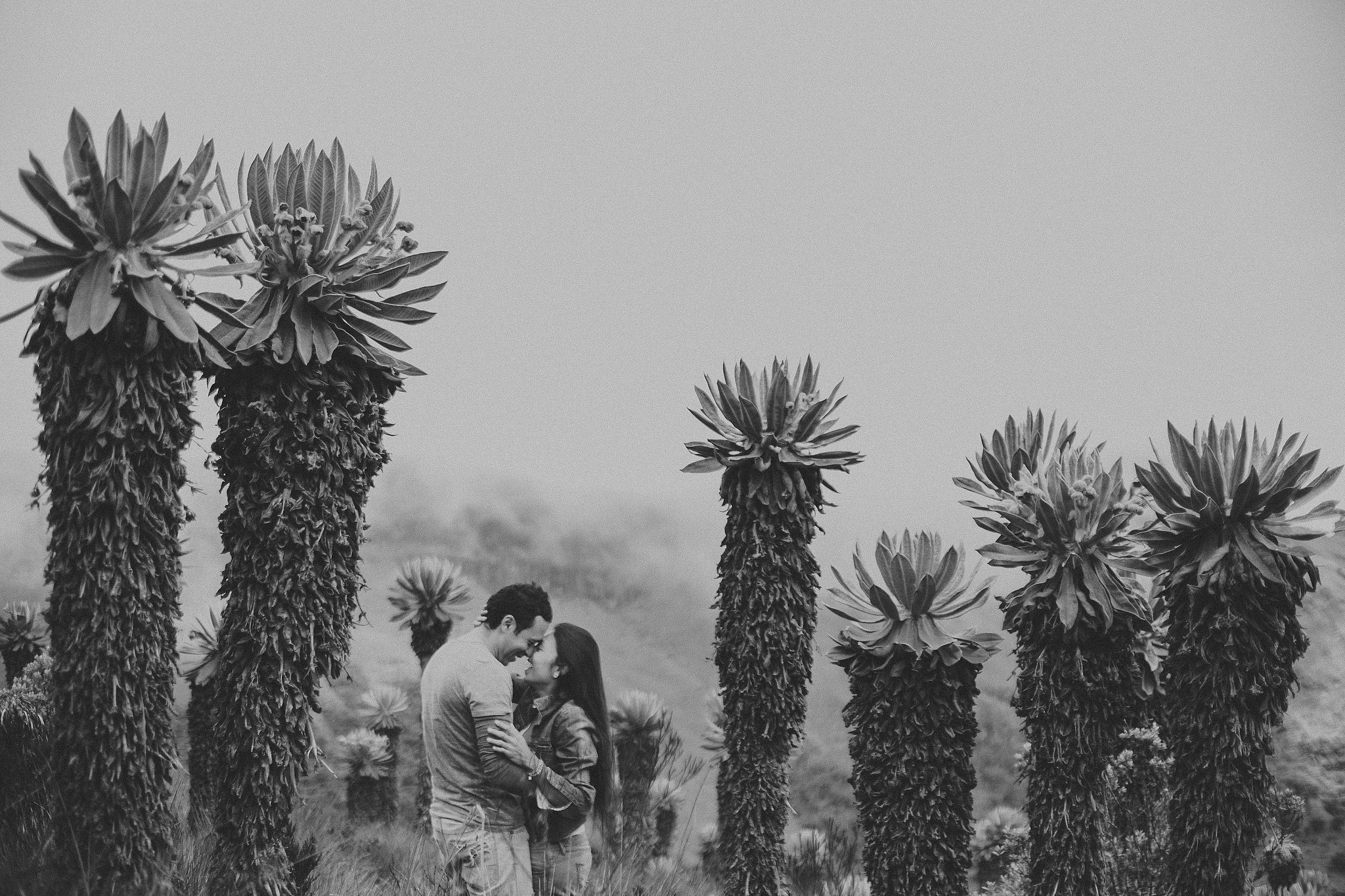 Fotografía de Bodas en Colombia | Diástole y Sístole